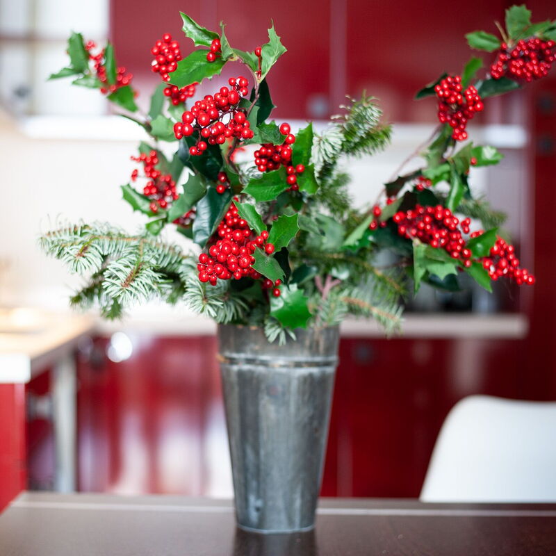 Residenze Holiday Park By Halldis: Dettagli della stanza, Sala da pranzo, Soggiorno