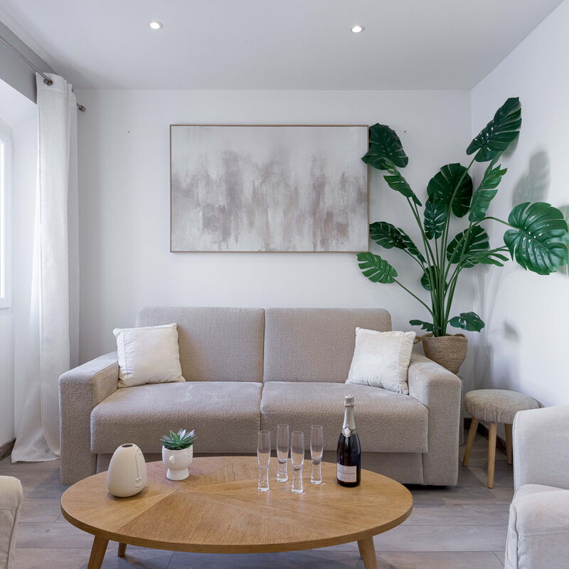 21 Rue Meynadier: Soggiorno