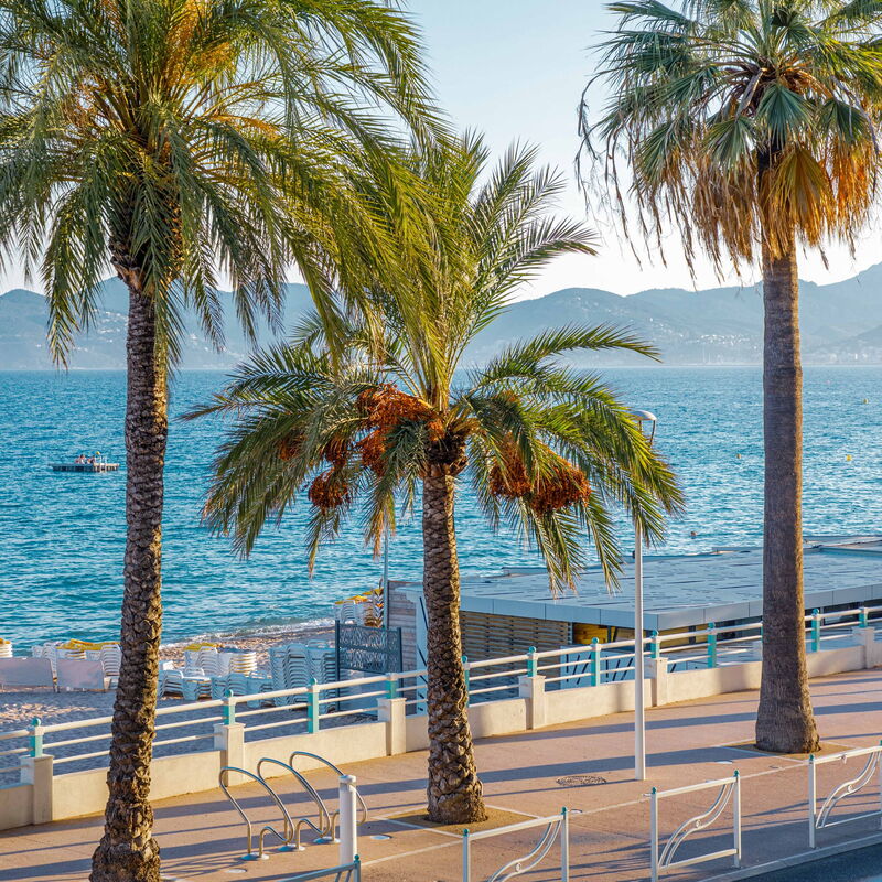 Bel Appartement Face à La Mer Près Du Centre: Vues