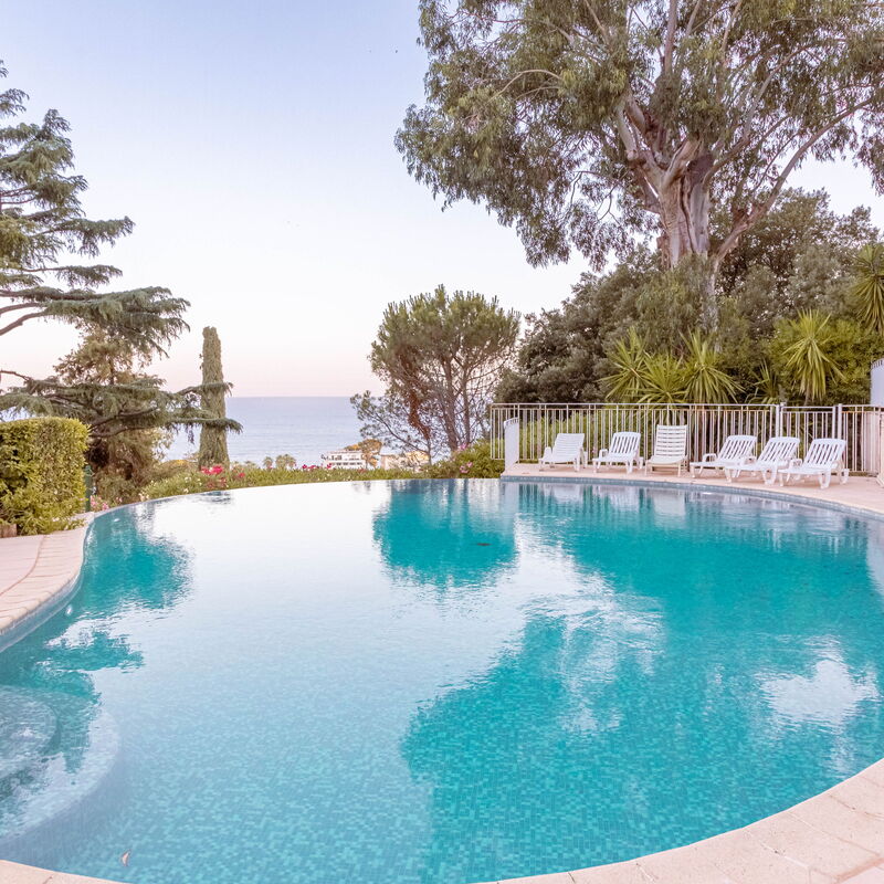 Dream Apartment: bassin