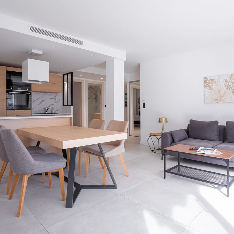 Amazing Apartment With Private Terrace & Full Air Conditioning - Walk To The Beach, La Croisette!: Cuisine, Salon