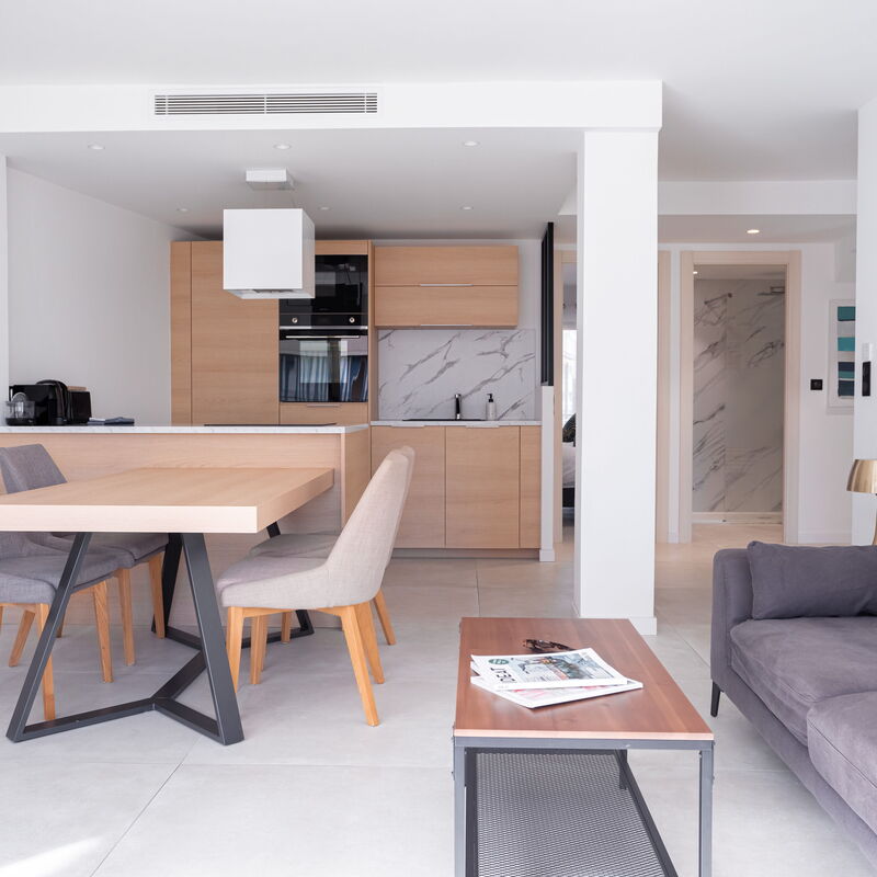 Amazing Apartment With Private Terrace & Full Air Conditioning - Walk To The Beach, La Croisette!: Cuisine, Salon