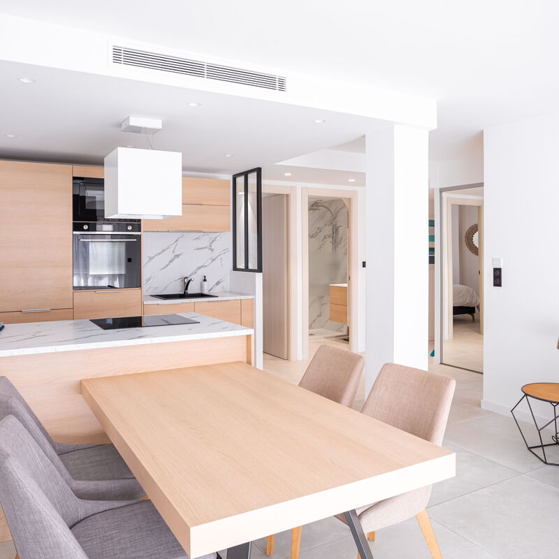 Amazing Apartment With Private Terrace & Full Air Conditioning - Walk To The Beach, La Croisette!: Cuisine, Salon