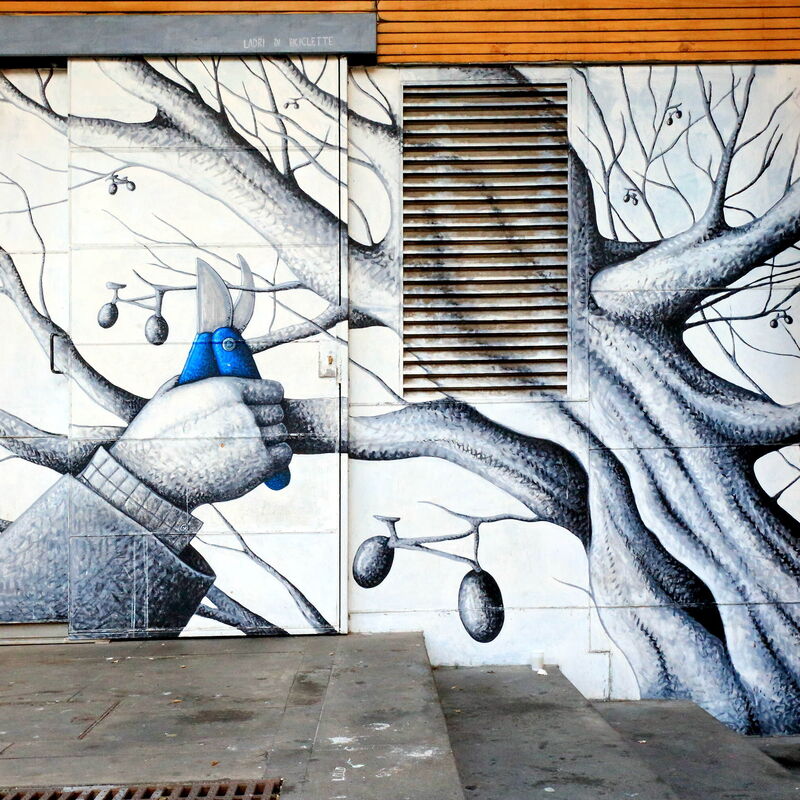 Dandolo In Trastevere: Vues