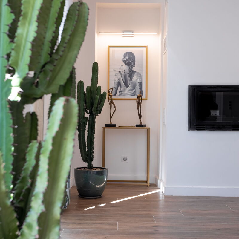 Luxury Apt With Balcony On Famous Rue D'antibes!: Salon