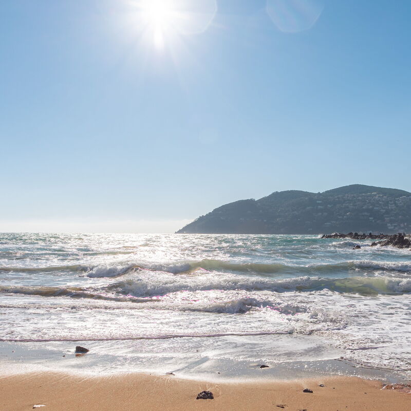 Duplex Mandelieu: Scenic View