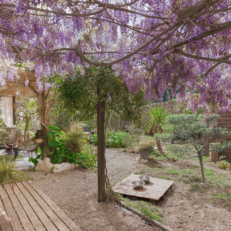 La Maison Fleurie: Giardino