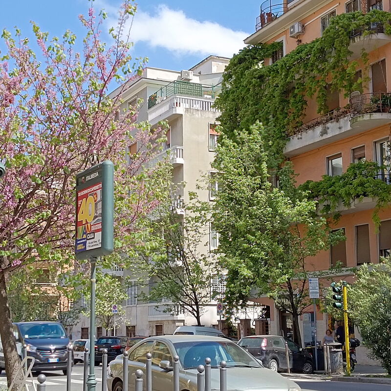 Livorno: Extérieurs, Vues