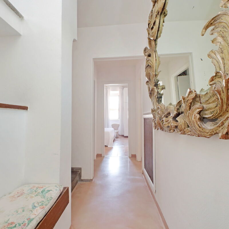 Di Panico: Entrée principale