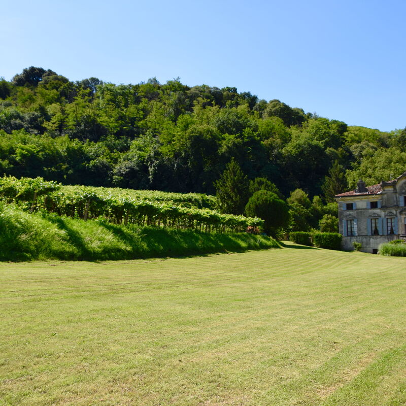 I Cipressi: all'aperto