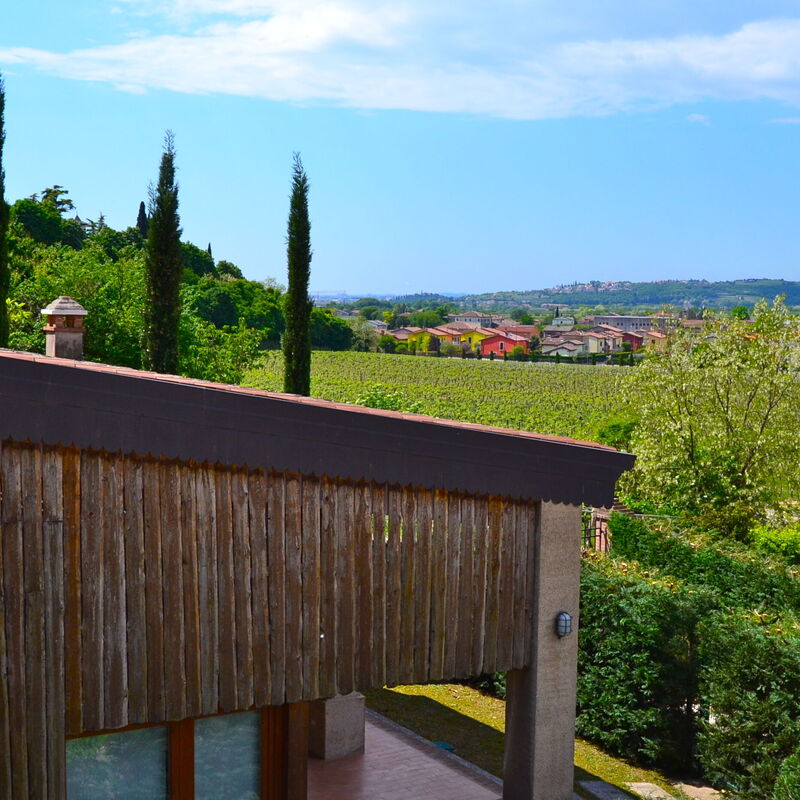 I Cipressi: all'aperto