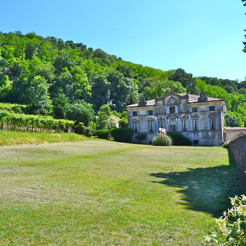 I Cipressi: all'aperto