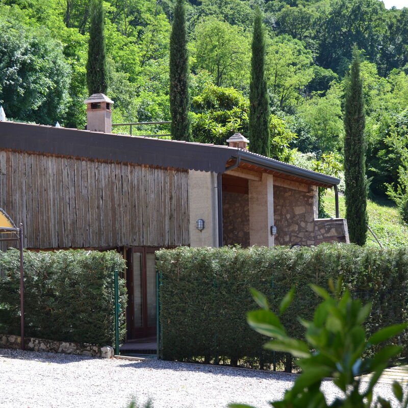 I Cipressi: all'aperto