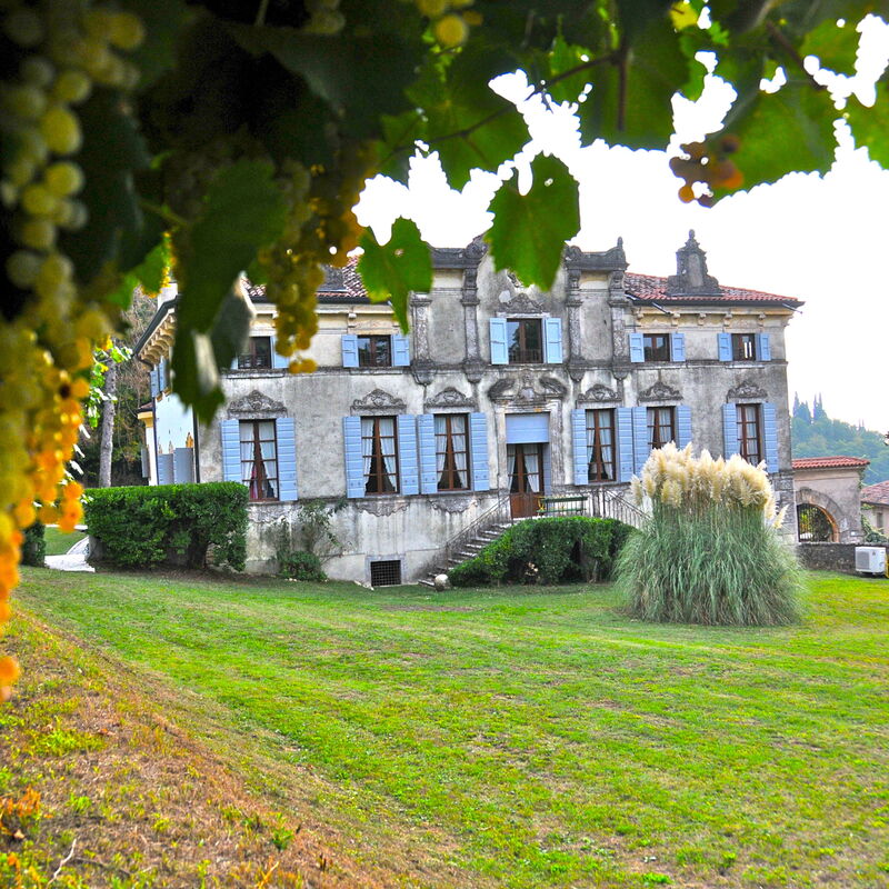 I Cipressi: all'aperto