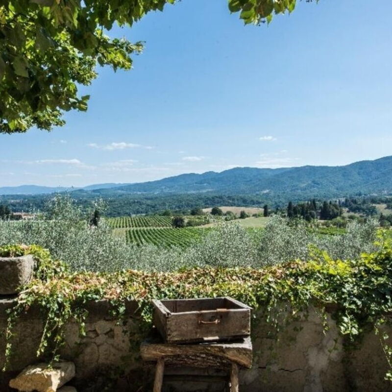 Villa Delle Vigne By Halldis