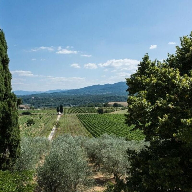 Villa Delle Vigne By Halldis