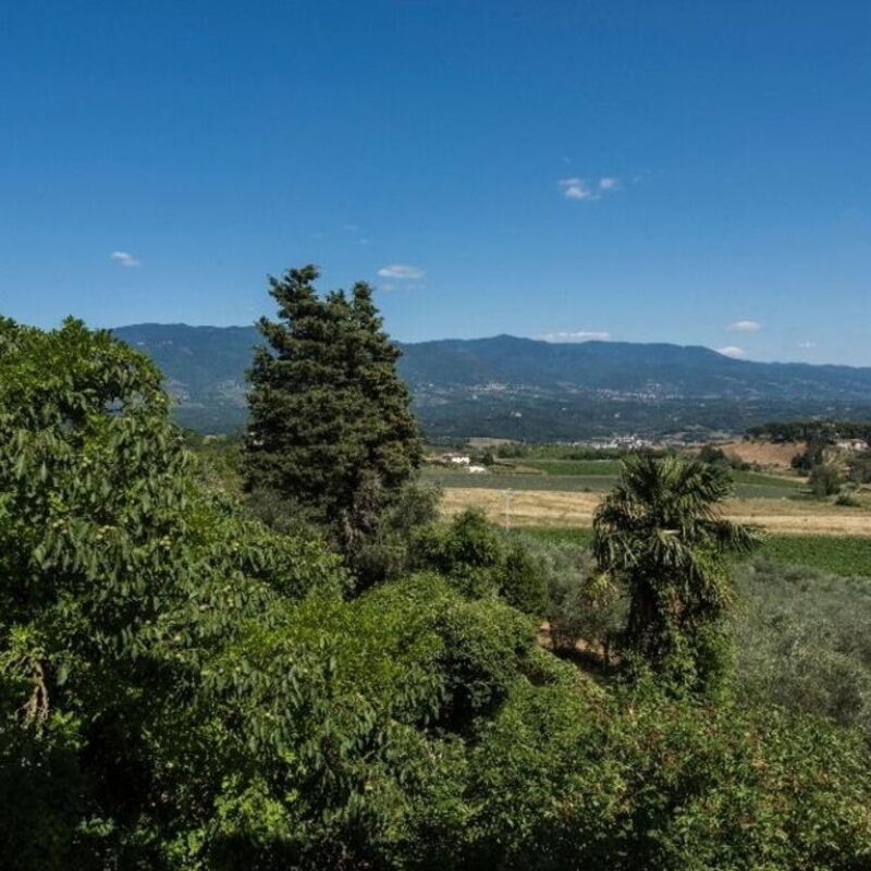 Villa Delle Vigne By Halldis