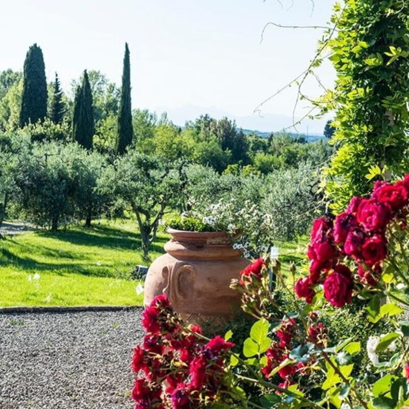 Villa Le Mura By Halldis