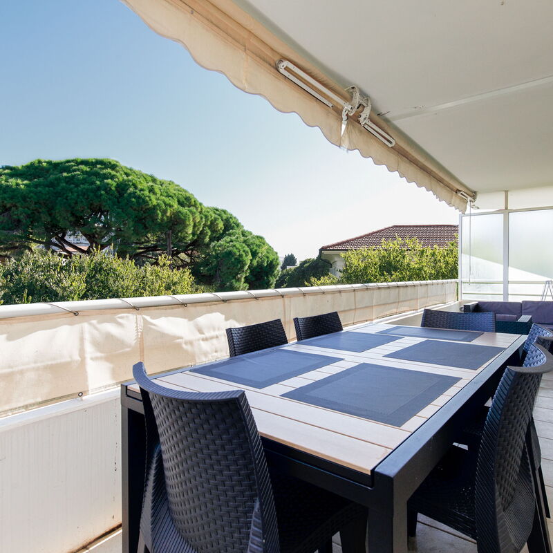 Palmeraie: Balcony / Terrace / Patio