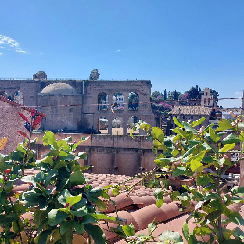 Imperial Forum Terrace Retreat, Monti: Scenic View